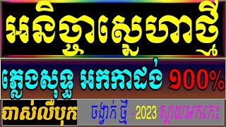 អនិច្ចាស្នេហ៍ថ្មី ភ្លេងសុទ្ធ ,អនិច្ចាស្នេហាខ្ញុំ ភ្លេងសុទ្ធ (VICHEKA)វិច្ឆិកា