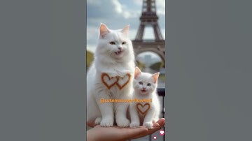 Thumbnail of Cute APT Kitty Singing Rose' & Bruno Mars APT Song with Mom in Paris| Adorable Cat Cover#shorts #cat