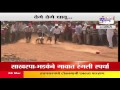 Ratnagiri Dogs race terror