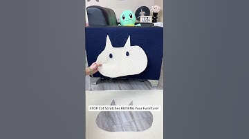 Tired of Your Cat Scratching the Sofa? Try This Game-Changer!