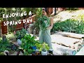 celebrating spring things | BUYING NEW HOUSE PLANTS 🌱