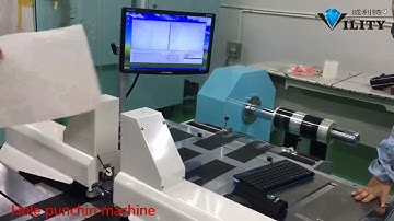 Double Needles Roll To Roll Automatic CCD Camera Guide Hole Dual Puncher