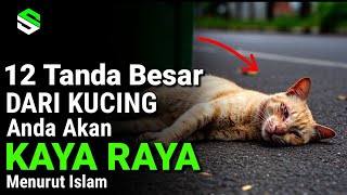 DON'T IGNORE THEM!! Here Are 12 Signs From Cats That You Will Be Rich Soon