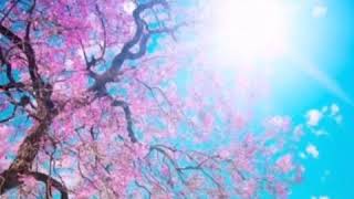 Mustafa Yeşilbaş Halen Bir Umudum Var Şiir