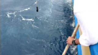 20080504-U氏とキハダマグロマグロ③