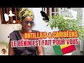 Antillais et caribens  pourquoi le bnin est le meilleur pays pour votre retour en afrique 