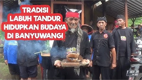 TRADISI LABUH TANDUR HIDUPKAN BUDAYA DI BANYUWANGI
