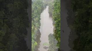 Beautiful Daintree Rainforest Aerial View shorts