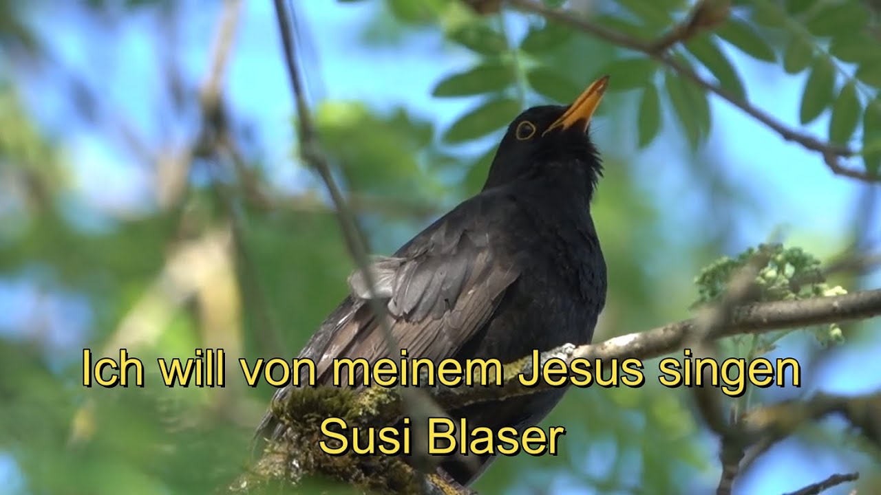 Ich will von meinem Jesus singen - Susi Blaser