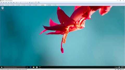 Prevent changing Theme via GPO in Windows Server 2016
