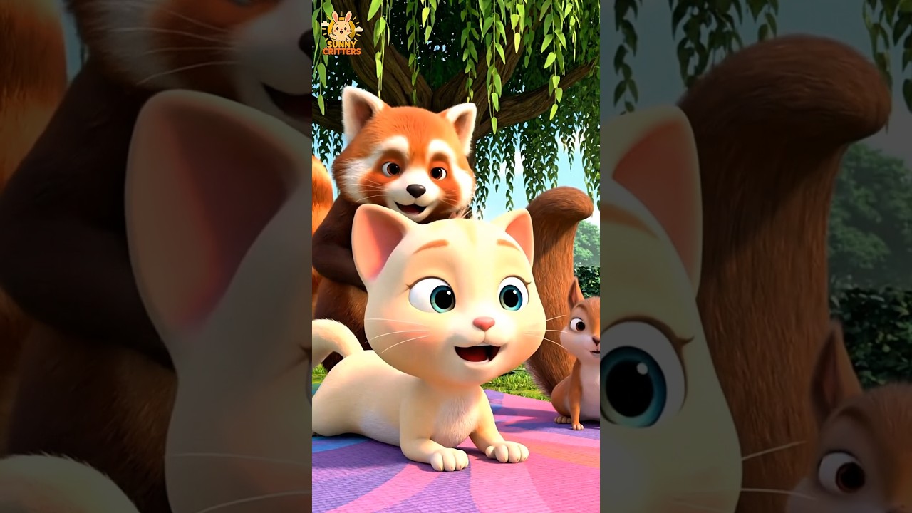 Coco the Cat Practices Yoga and Breathing 