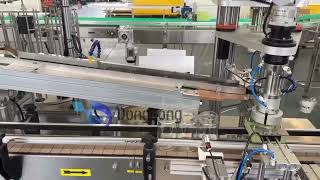Plastic Flat Top Chain Conveyor | Flexible Conveyor System for Bottles, Cans & Packaging Lines