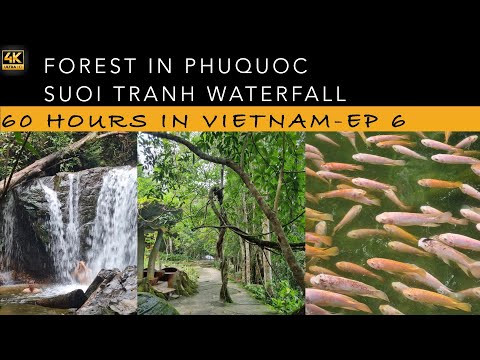 Video Suoi Tranh Waterfall PhuQuoc Airport Nearby| EP6- 60... - youtube