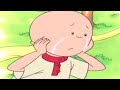 Caillou Italiano - Caillou e il Problema nel Parco | Nuovi episodi | Cartoni per Bambini