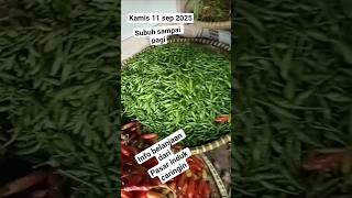 info belanjaan  cabe,bawang,tomat,kol dlldari pasar indukcaringin