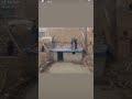 سلام سلام سلام ههههههه 
