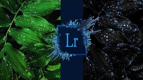 Creative Dark Leaf and Blue tone Water Drops ll Lightroom Photo Editing