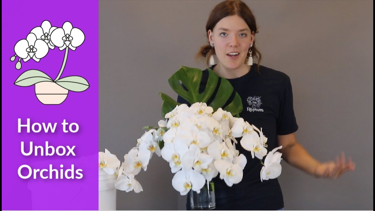 How to Unbox Your Orchids 