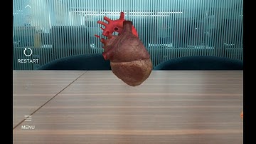 Virtual/Augmented Reality The Human Heart
