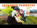 We Tried Living On A Farm In The Japanese Countryside | Kumano