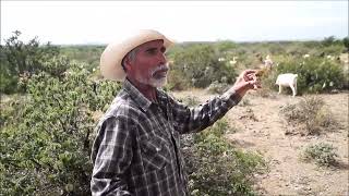 Julián: un día en la vida de un chivero de la Sierra de San Carlos