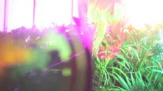 SOFTSPOT - Pickup Lines (official music video) screenshot 1