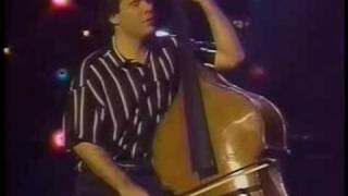 Bass fun: Edgar Meyer Ray Brown and Victor Wooten