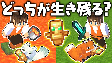 ｍｋマイクラふしのトーテーム