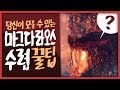 【공략】 당신이 모를 수 있는 조라-마그다라오스 퀘스트 꿀팁 [몬스터헌터 월드/MHW]