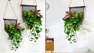 Beautiful Wall Hanging Planter Ideas You Have to Try | Hanging plants Decoration Ideas//GREEN PLANTS