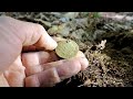 I found this really old coin in the middle of nowhere metal detecting