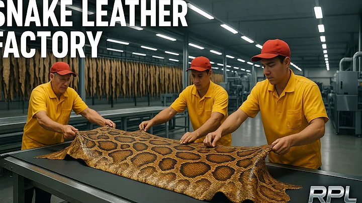 Inside the snake-Leather factory: From Python Snake To Luxury Leather (Full Process) #pythonleather 