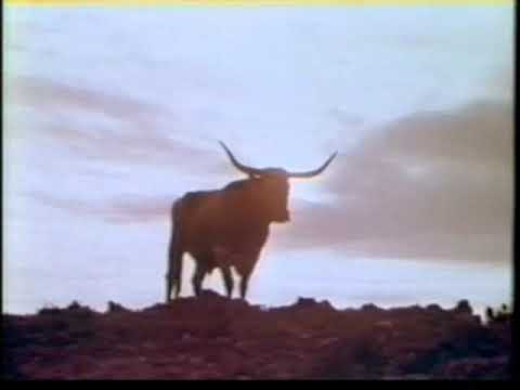 Marlboro Commercial Vintage Longhorn