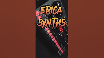 🚨ERICA SYNTHS BASSLINE DB-01 + Elektron SYNTAKT 🚨