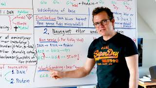 Mutationer Forklaret