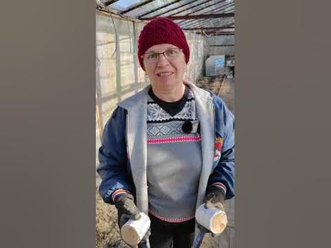 Дымовуха в теплице. Обеззараживаем. - YouTube