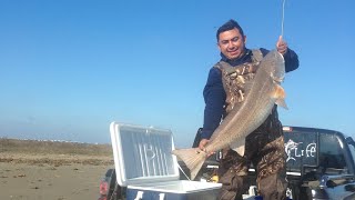 Redfish rig - punta para pez rojo en Louisiana