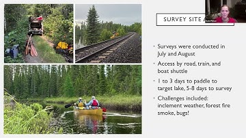 FOW Caribou Project Year 2 Summary Nov 2025