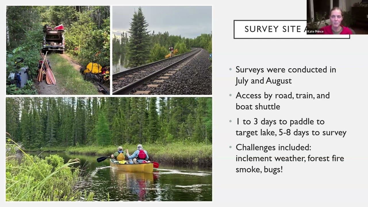 FOW Caribou Project Year 2 Summary Nov 2025