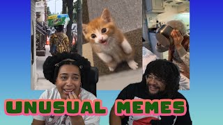 Unusual Memes: Angry Cats and Greedy Grannies | ft. Chavezz