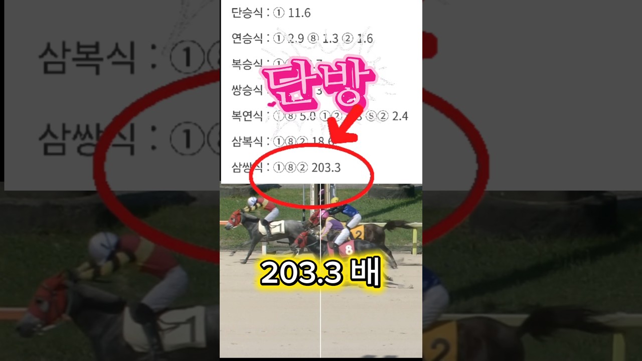 단방, 삼복, 삼쌍 203.3배 고래사냥 , 고래잡았다! 7월 10일 제주 6경주 분석 제대로 들어갔다! 이래서 제주 달인인가봅니다. 별대박경마
