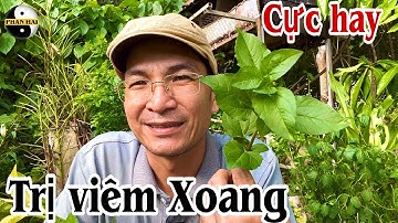 Trị viêm Xoang. PHAN HẢI Channel