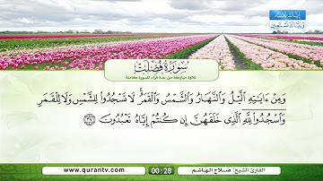 سورة فصلت | القراء: فؤاد الخامري، عبد الله بصفر، نبيل الرفاعي، صلاح الهاشم، يحيى حوى، سعد الغامدي