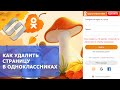 Как удалить личную страницу в Одноклассниках с компьютера и телефона📄❌📲🖥️