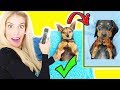 i Tried RECREATiNG Adorable MEMES with my DOGS!