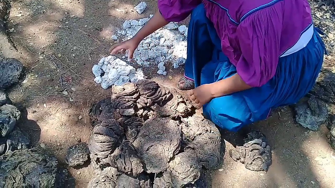 9. Proceso de la piedra de cal viva  Uñas con piedras, Desinfectante,  Tamales