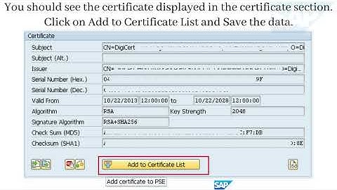 Importing CA’s Root Certificate From the File System (SSL Client Standard) | SAP Basis & Hana Hub