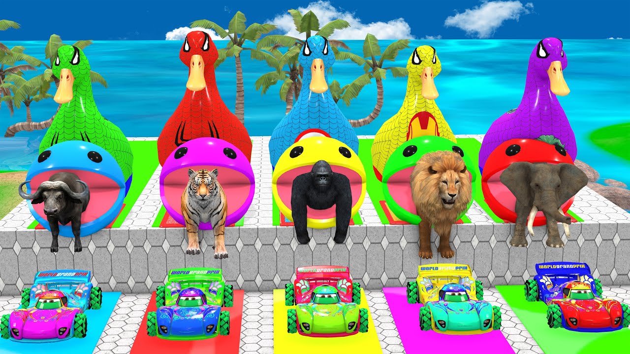 Long Slide Game With Cow Elephant Gorilla Hippopotamus Tiger 3d Animal Game Funny 3d Animals