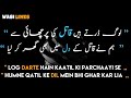 Sadgi to Hamari Zara Dekhiye Full Urdu Lyrics  Nusrat Fateh Ali Khan  qwali  WasiLines Mp3 Song