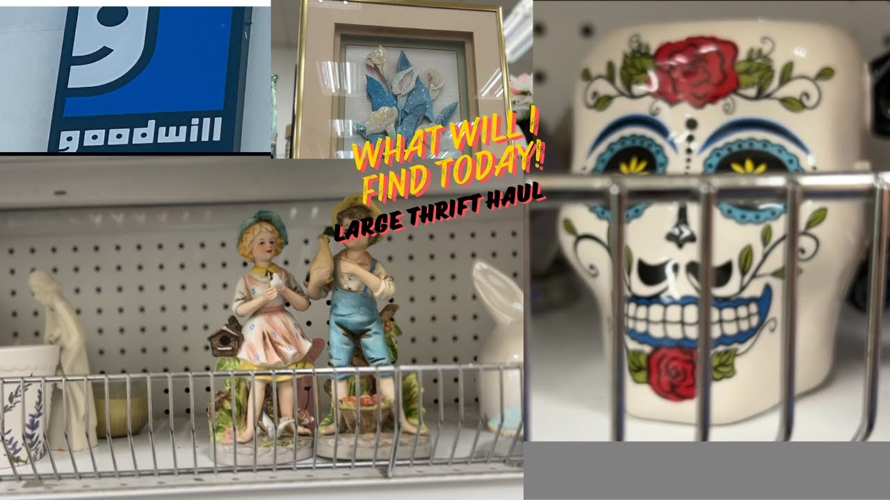 YOU NEVER KNOW WHAT YOU WILL FIND WHEN YOU THRIFT/GOODWILL THRIFT/HAUL ...